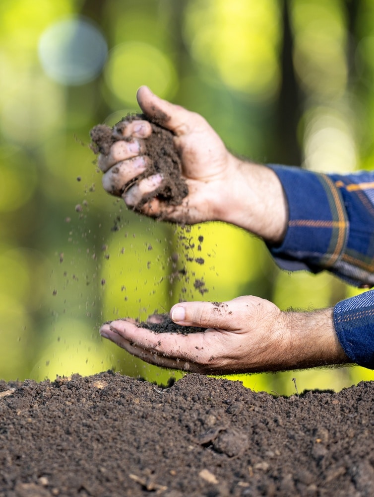 Qualité du Sol : Analyse d'une Terre Fertile au Jardin Main émiettant de la terre fertile au-dessus d'un tas de terreau dans un jardin ensoleillé.